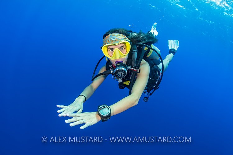 Diver Underwater. Cayman Islands