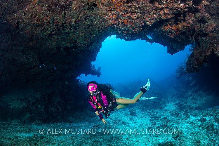 Diver On Coral Reef. Cayman Islands