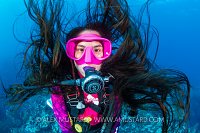 Diver's Hair Underwater. Cayman Islands