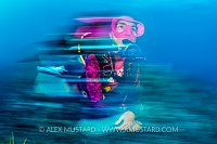 Diver Underwater. Cayman Islands