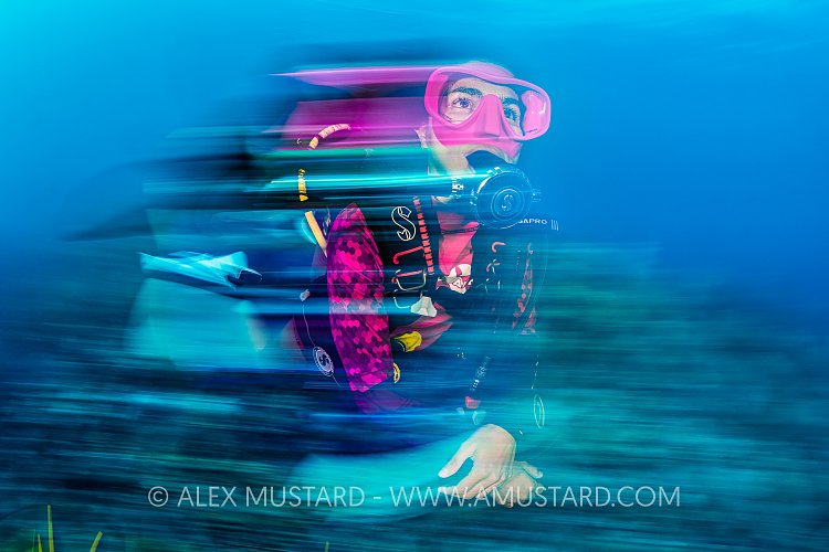 Diver Underwater. Cayman Islands