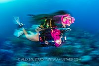 Diver Underwater. Cayman Islands