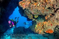 Diver On Coral Reef. Cayman Islands