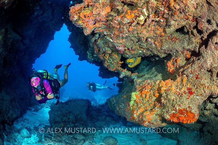 Diver On Coral Reef. Cayman Islands