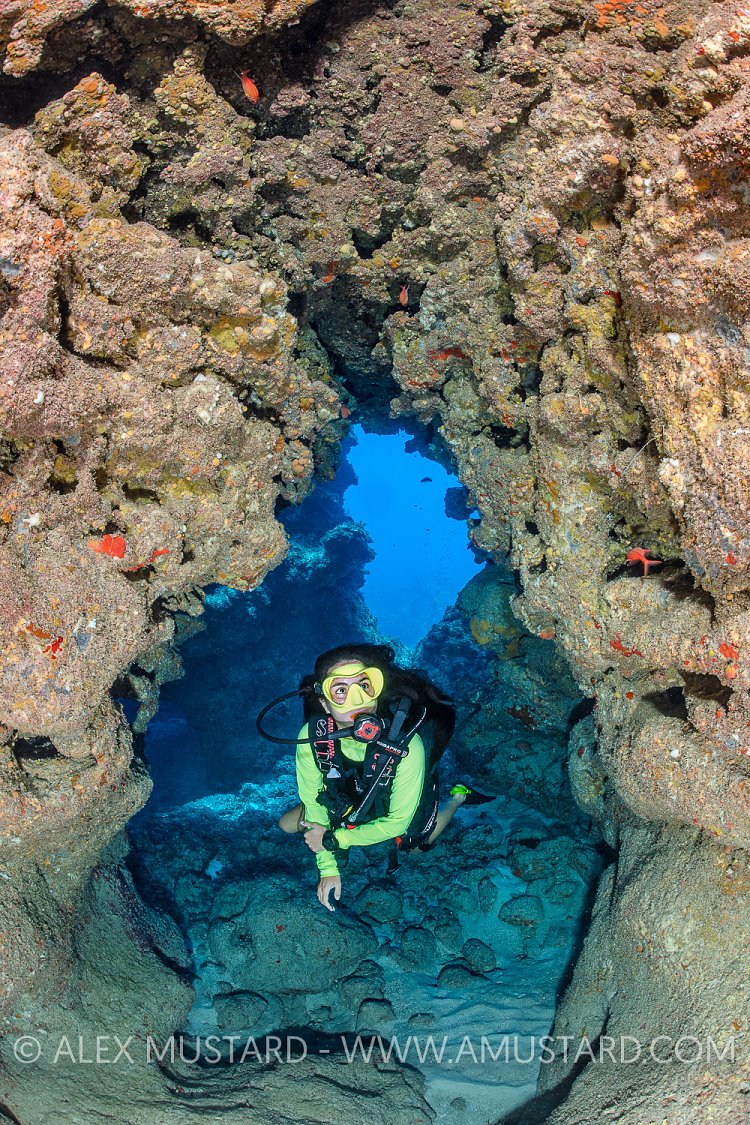 Diver On Coral Reef. Cayman Islands