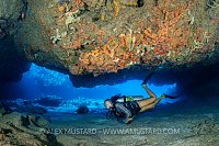 Diver On Coral Reef. Cayman Islands