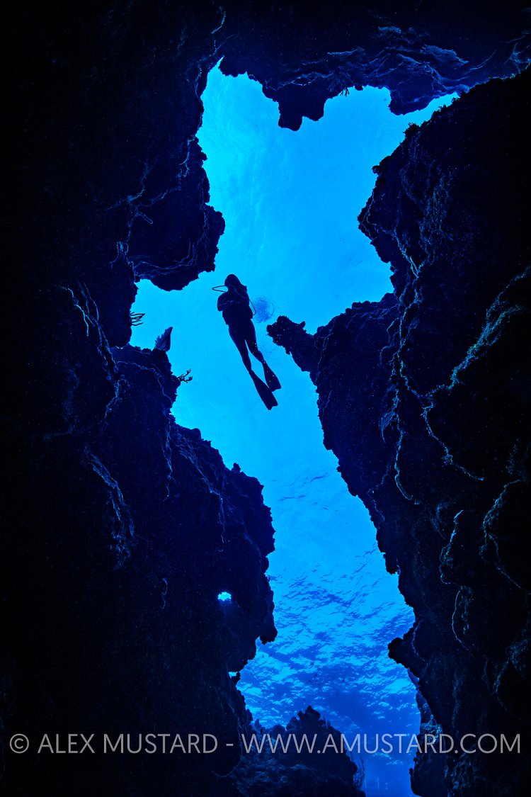 Diver Silhouetted Over Reef. Cayman Islands