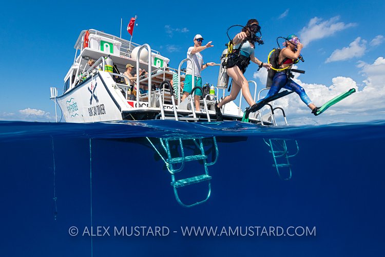 Giant Stride. Cayman Islands