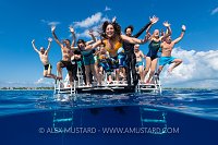 Happy Divers Jump. Cayman Islands
