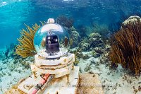Underwater Webcam. Cayman Islands