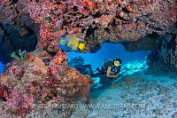 Diver On Coral Reef. Cayman Islands