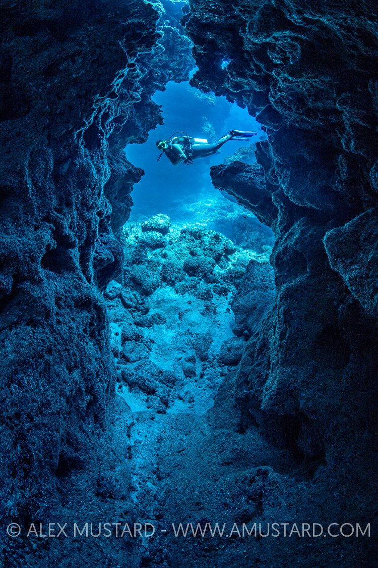 Diver On Coral Reef. Cayman Islands
