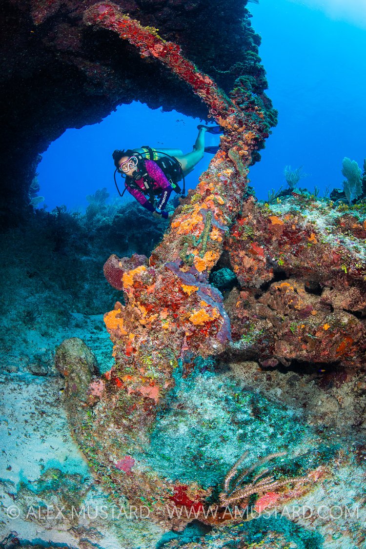Diver With Anchor. Cayman Islands