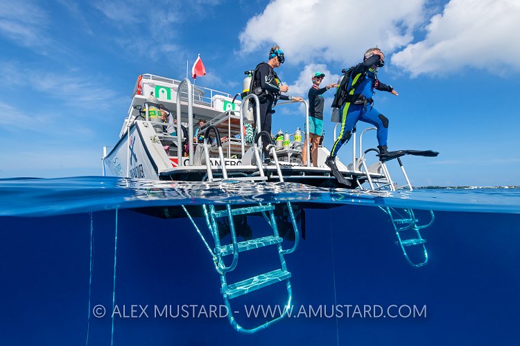 Giant Stride. Cayman Islands