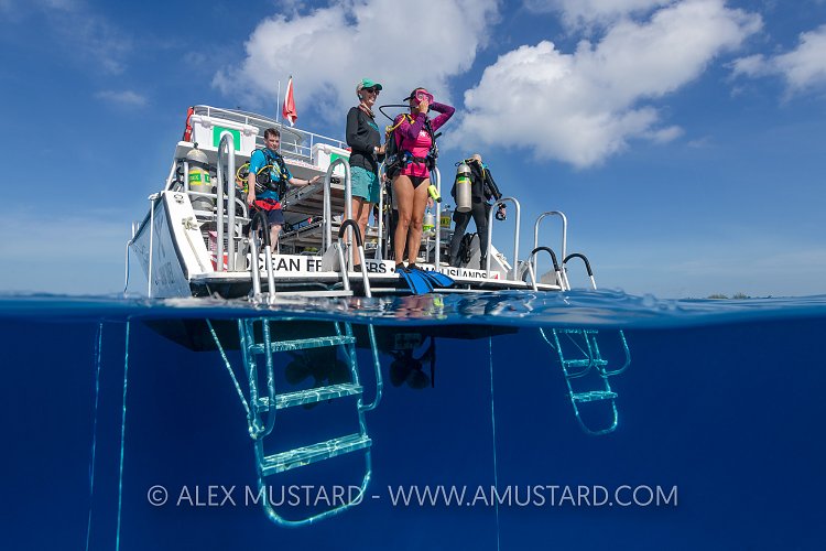 Preparing To Jump. Cayman Islands