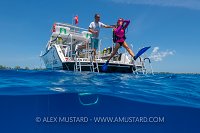 Giant Stride. Cayman Islands