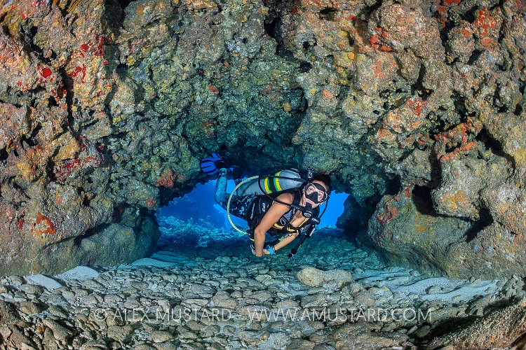 Diver In Coral Cavern. Cayman Islands
