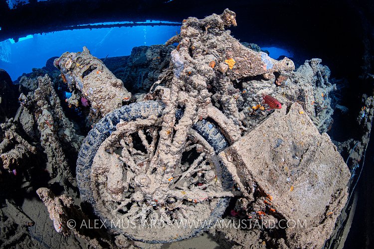 Thistlegorm Motorbike. Egypt