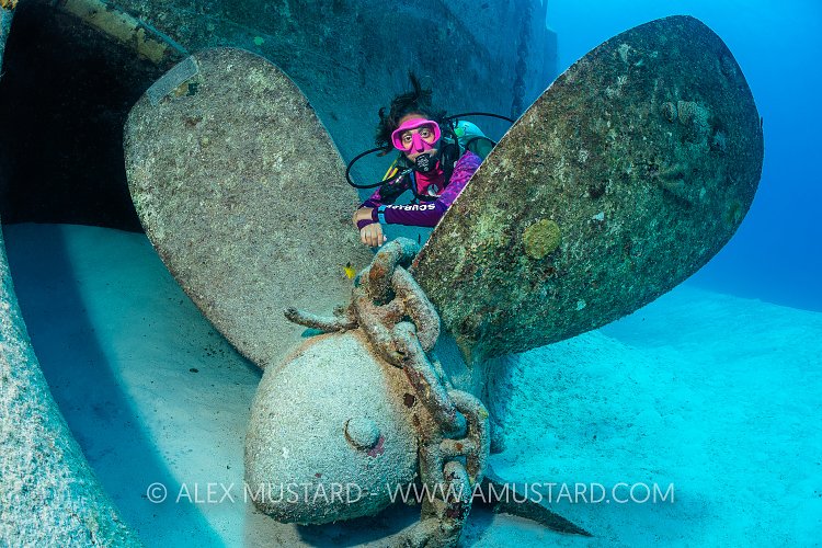 Kittiwake Prop. Cayman Islands