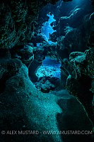 Coral Cavern.. Cayman Islands