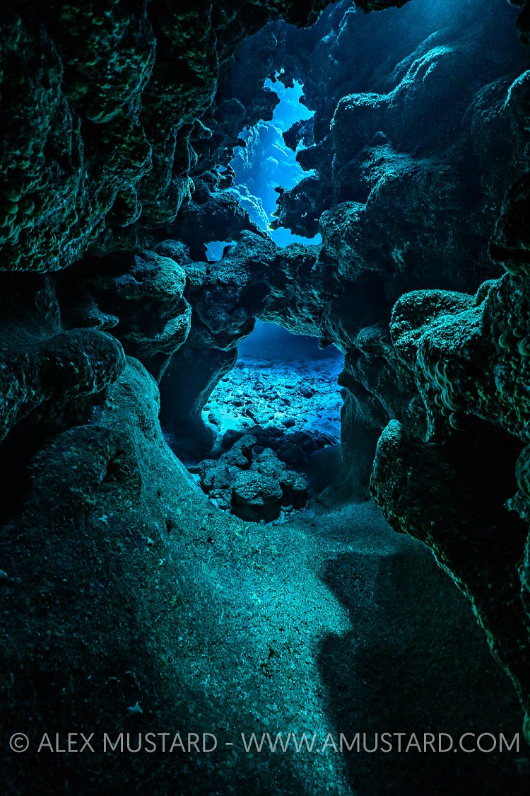 Coral Cavern.. Cayman Islands