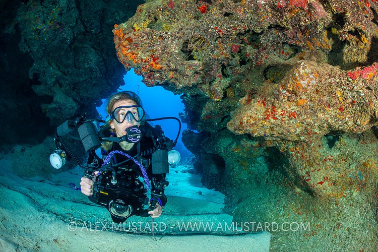 Underwater Photographer In Cavern. Cayman Islands