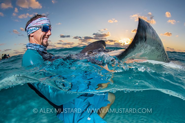 Stingray Interaction. Cayman Islands
