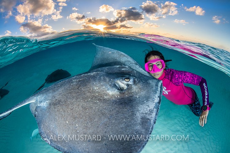 Stingray Encounter. Cayman Islands