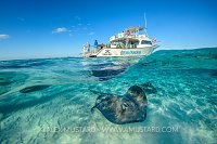 Split Level Of Stingray And Boat. Cayman Islands