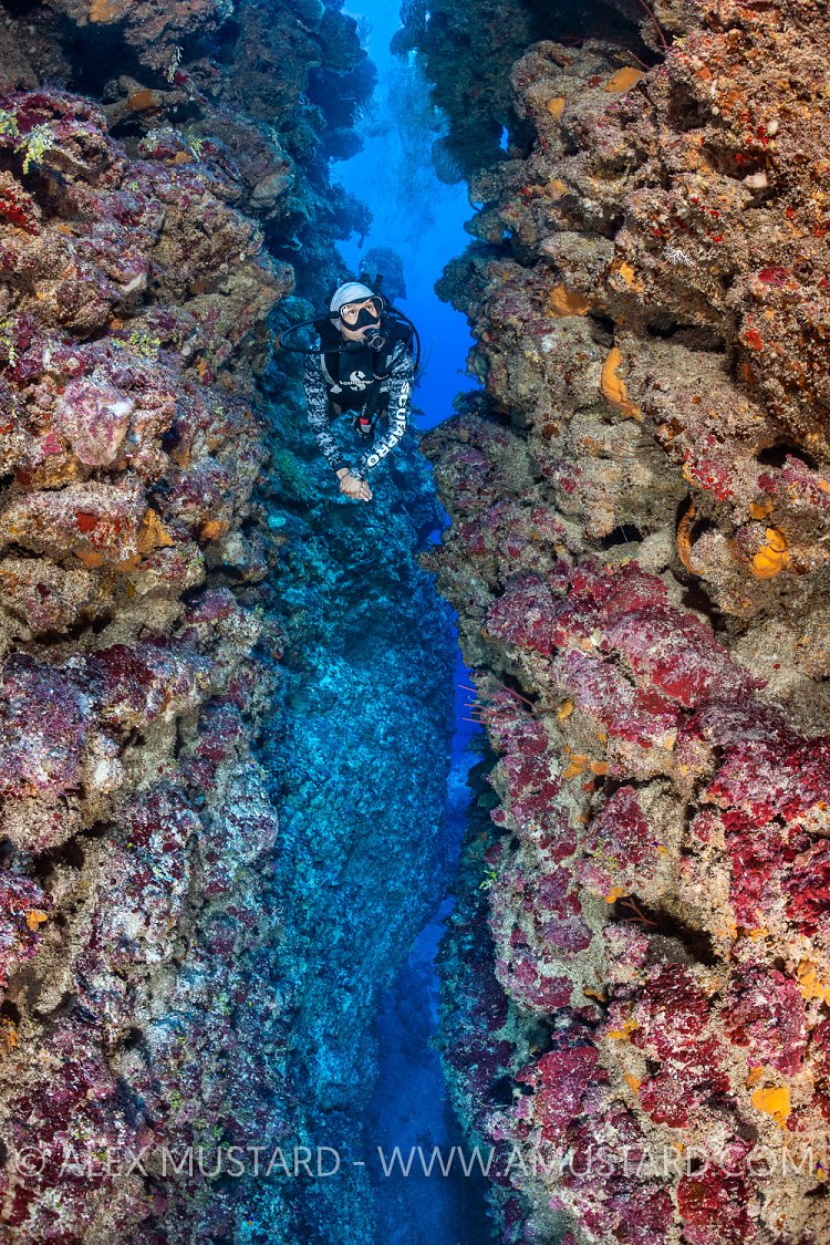 Carly In Canyon. Cayman Islands