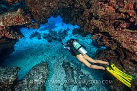 Diver In Coral Arch. Cayman Islands