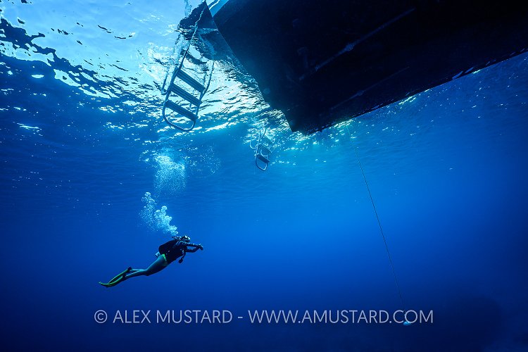Returning to the boat. Cayman Islands