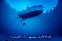 Diver Beneath Boat. Cayman Islands