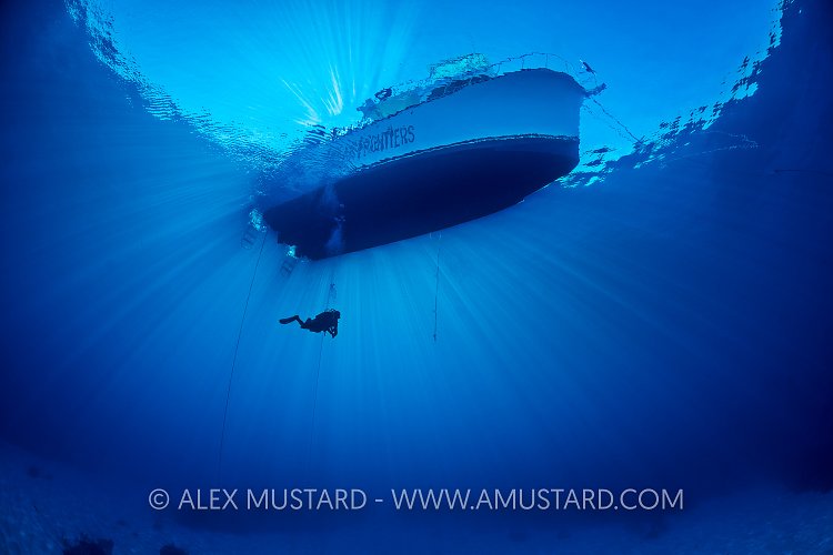 Diver Beneath Boat. Cayman Islands