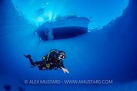Diver Beneath Boat. Cayman Islands