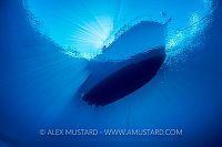 Dive Boat. Cayman Islands