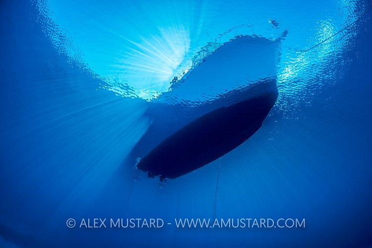 Dive Boat. Cayman Islands