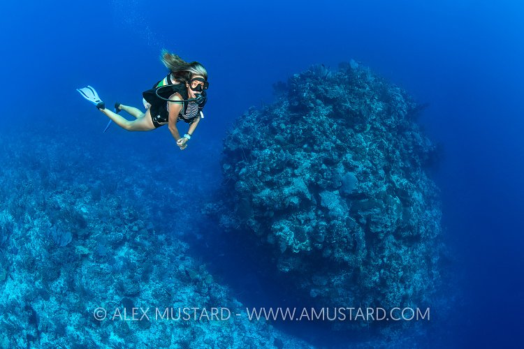 Diver And Pinnacle. Cayman Islands