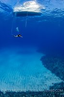 Diver Over Sand Patch. Cayman Islands