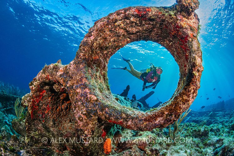 Glamis Wreck With Diver. Cayman Islands