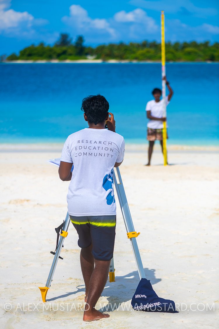 Beach Survey. Maldives