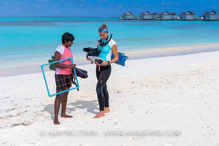 Sea Grass Survey. Maldives