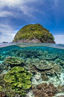 Reef Split Level, Indonesia
