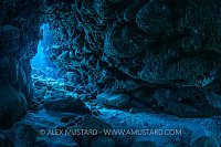 Coral Cavern, Cayman Islands