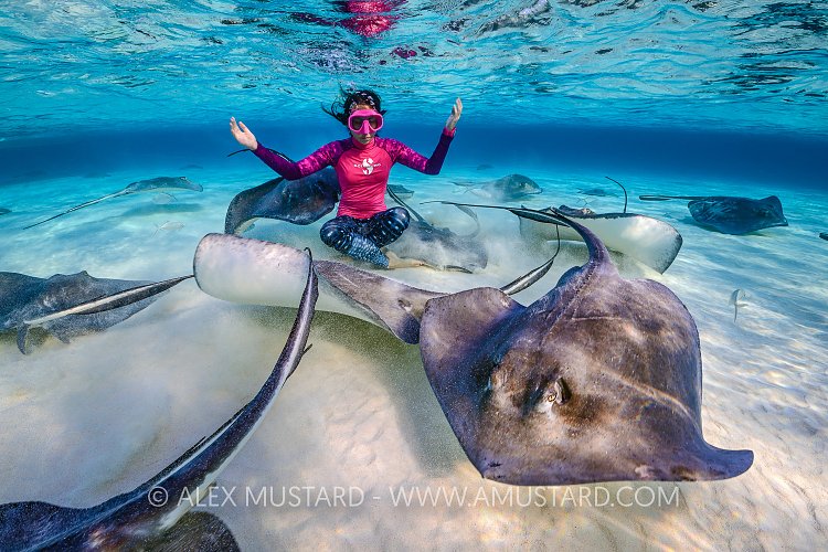 Stingray Encounter, Cayman Islands