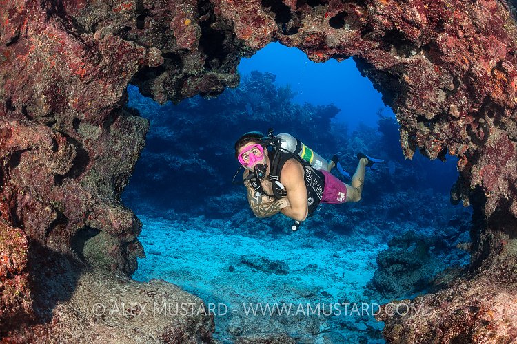 Diver In Arch, Cayman Islands