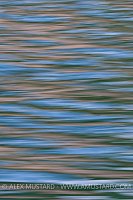 Sea Surface Patterns, UK