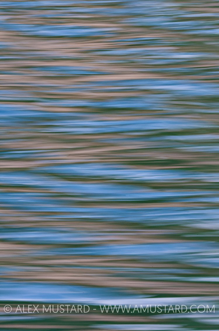 Sea Surface Patterns, UK