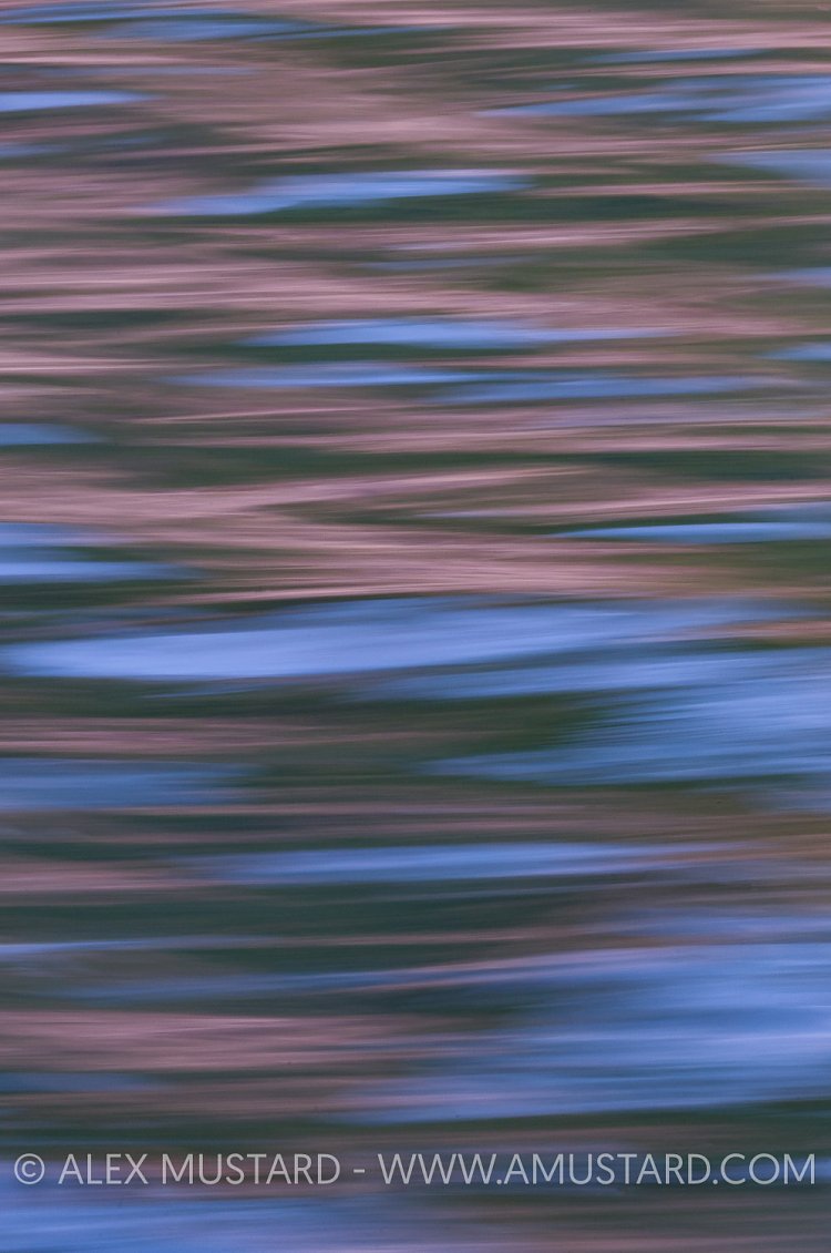 Sea Surface Patterns, UK