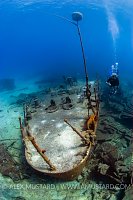 Oro Verde Bow, Cayman Islands